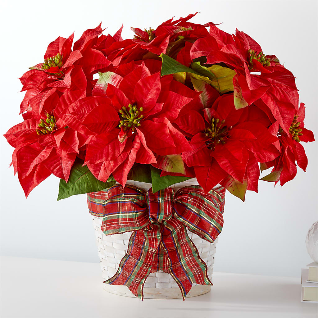Happiest Holidays Poinsettia – CHRISTINE'S CREATIONS FLOWER SHOP, West Haven CT