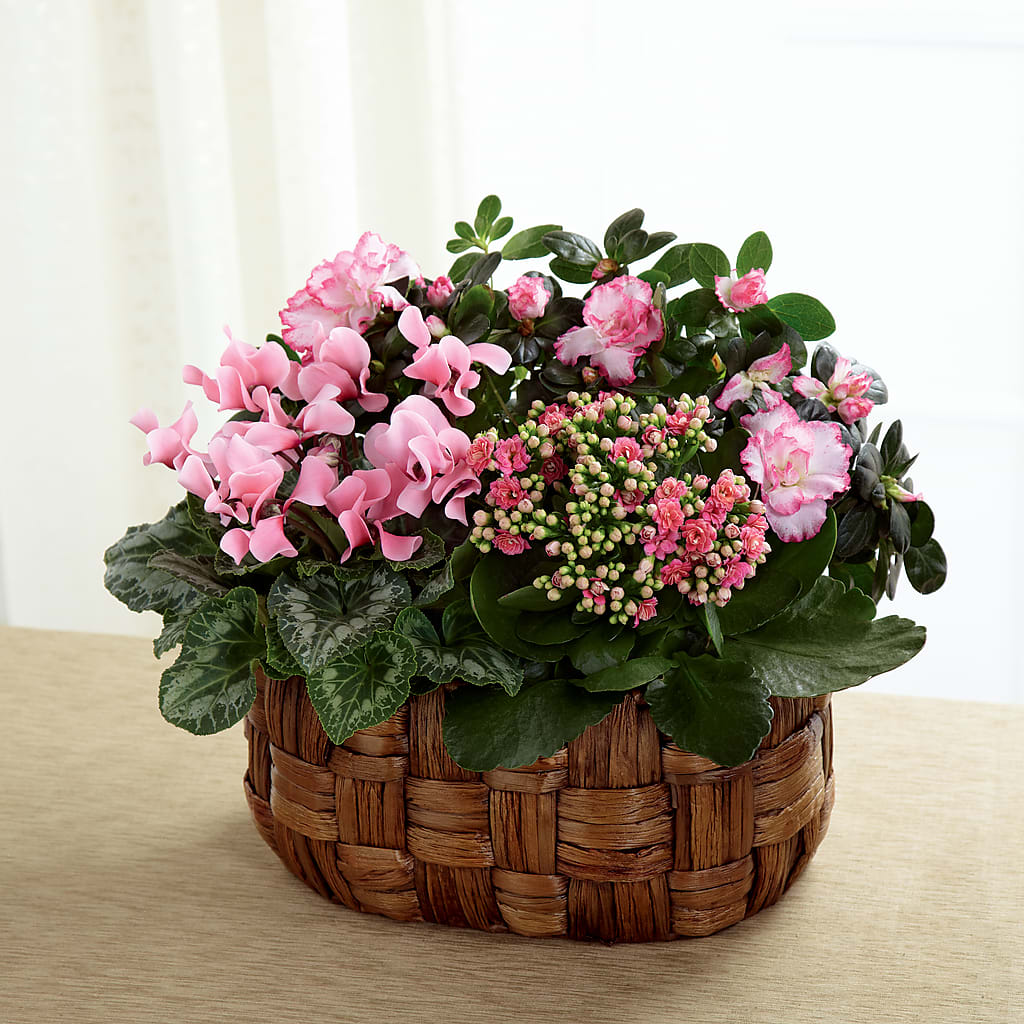 Pink Assortment – CHRISTINE'S CREATIONS FLOWER SHOP, West Haven CT