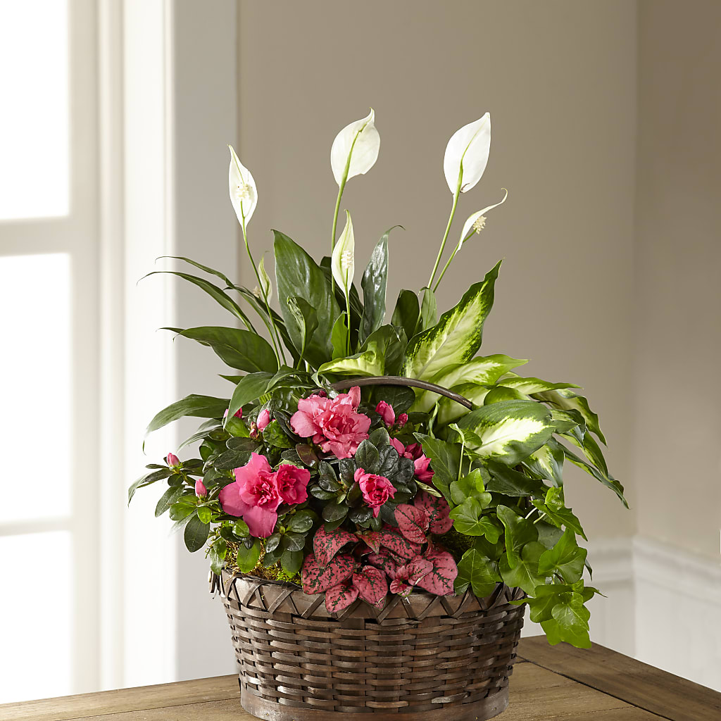 Dream in Pink Dishgarden – CHRISTINE'S CREATIONS FLOWER SHOP, West Haven CT
