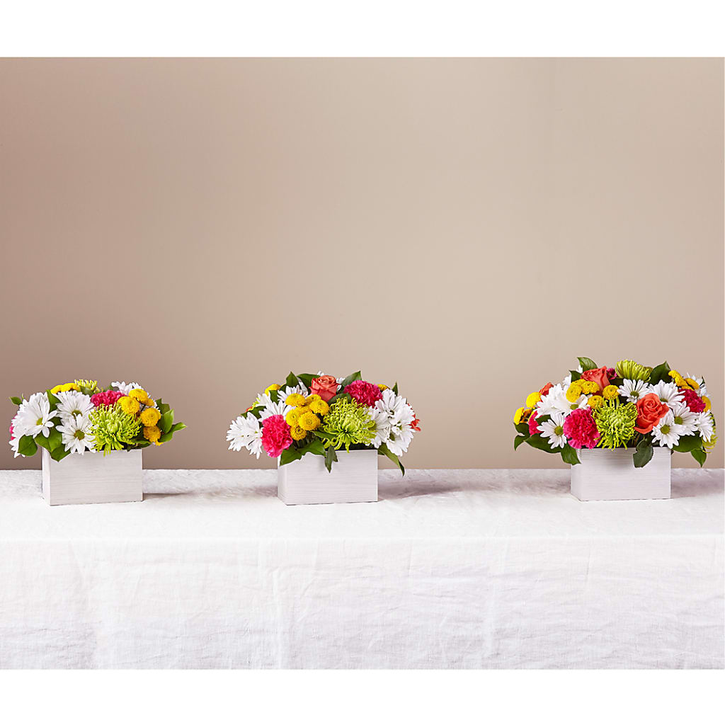 Sorbet Bouquet – CHRISTINE'S CREATIONS FLOWER SHOP, West Haven CT