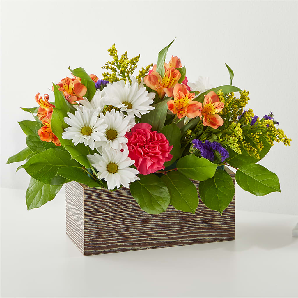 Oopsie Daisy Box Bouquet – CHRISTINE'S CREATIONS FLOWER SHOP, West Haven CT