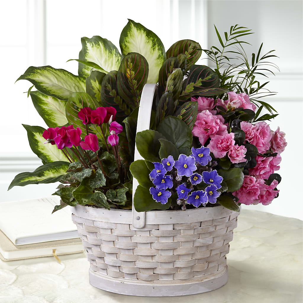 Peaceful Garden Planter – CHRISTINE'S CREATIONS FLOWER SHOP, West Haven CT