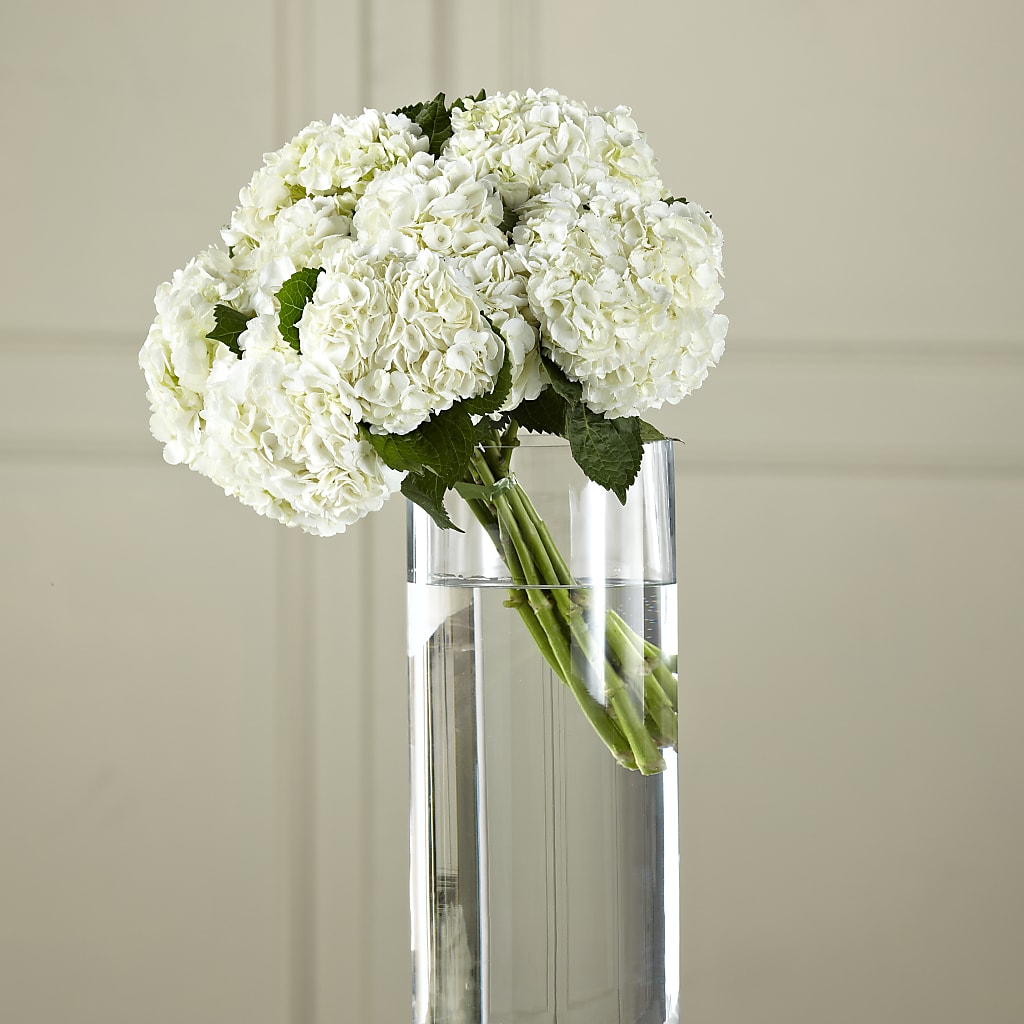White Hydrangea Hand-Tied Bouquet – CHRISTINE'S CREATIONS FLOWER SHOP, West Haven CT
