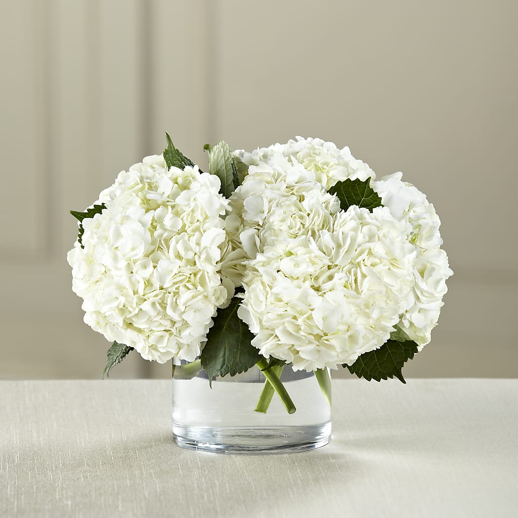 White Hydrangea Bouquet – CHRISTINE'S CREATIONS FLOWER SHOP, West Haven CT