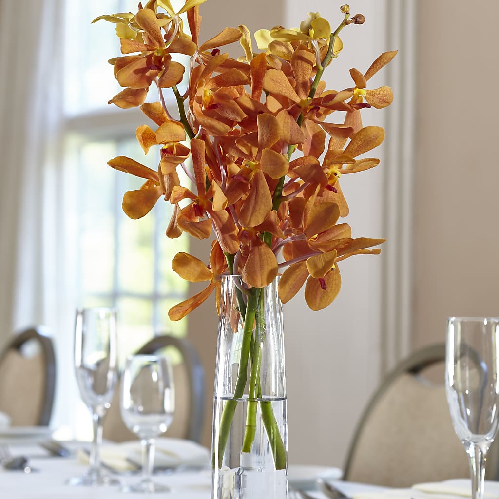 Orange Mokara Bud Vase – CHRISTINE'S CREATIONS FLOWER SHOP, West Haven CT