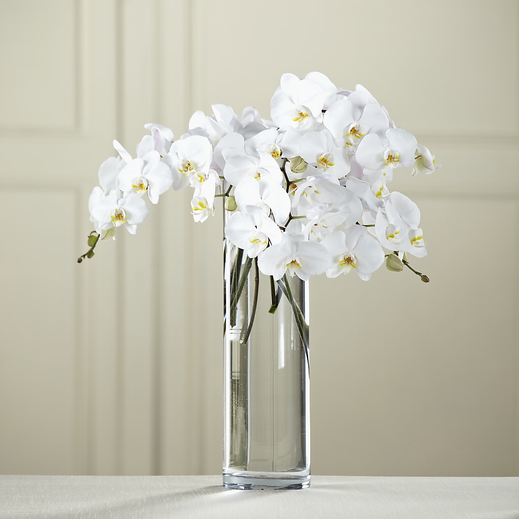 White Phalaenopsis Bouquet – CHRISTINE'S CREATIONS FLOWER SHOP, West Haven CT