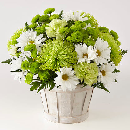 Lucky Charm Basket (Standard) – CHRISTINE'S CREATIONS FLOWER SHOP, West Haven CT