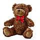 Adorable Plush Bear – CHRISTINE'S CREATIONS FLOWER SHOP, West Haven CT