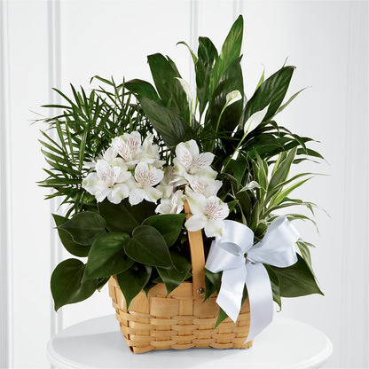 Peace & Serenity Dishgarden – CHRISTINE'S CREATIONS FLOWER SHOP, West Haven CT