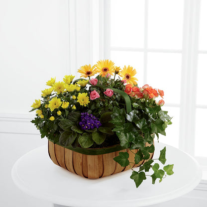Gentle Blossoms Basket – CHRISTINE'S CREATIONS FLOWER SHOP, West Haven CT