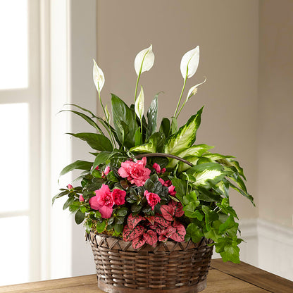 Dream in Pink Dishgarden – CHRISTINE'S CREATIONS FLOWER SHOP, West Haven CT