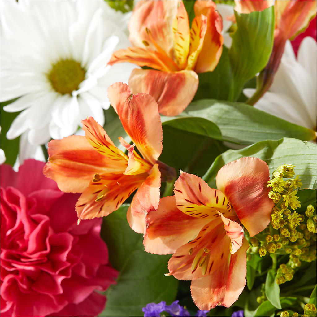 Oopsie Daisy Box Bouquet – CHRISTINE'S CREATIONS FLOWER SHOP, West Haven CT