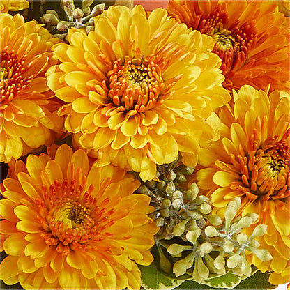Peachy Pumpkin – CHRISTINE'S CREATIONS FLOWER SHOP, West Haven CT