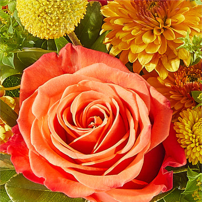Gourdgeous Pumpkin – CHRISTINE'S CREATIONS FLOWER SHOP, West Haven CT