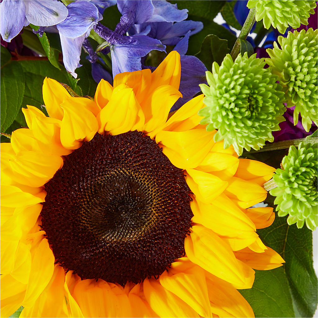 Catching Rays Bouquet – CHRISTINE'S CREATIONS FLOWER SHOP, West Haven CT