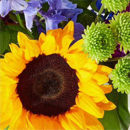 Catching Rays Bouquet – CHRISTINE'S CREATIONS FLOWER SHOP, West Haven CT