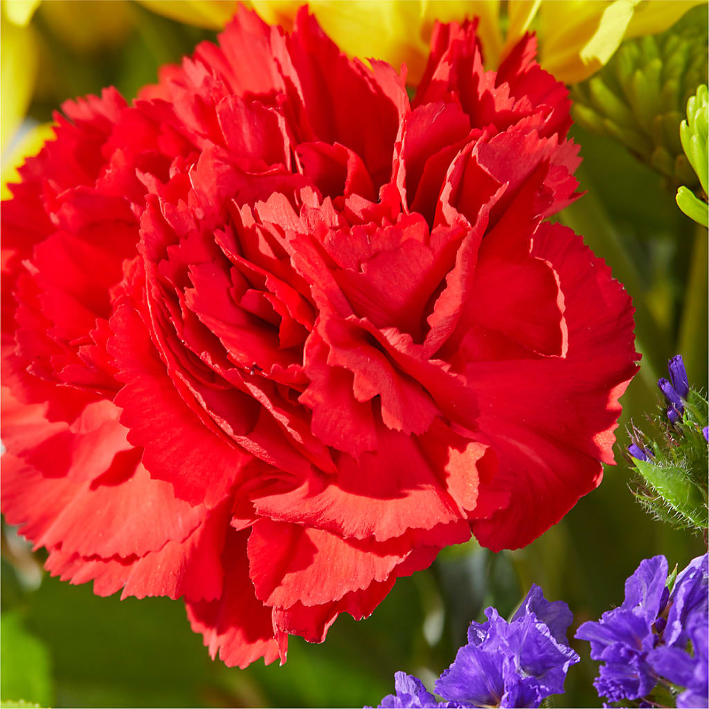 Brighter Days Bouquet – CHRISTINE'S CREATIONS FLOWER SHOP, West Haven CT