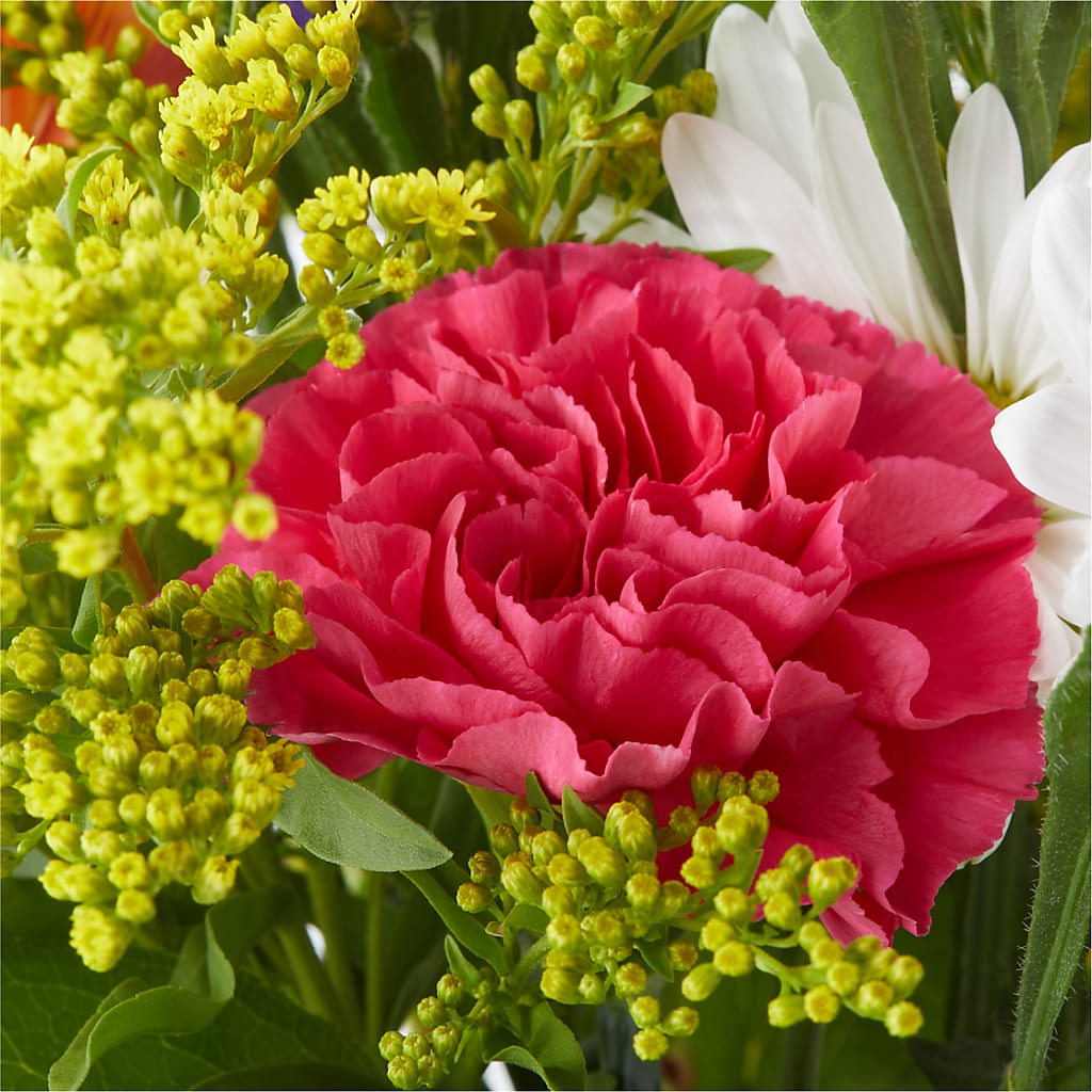 Oopsie Daisy Bouquet – CHRISTINE'S CREATIONS FLOWER SHOP, West Haven CT