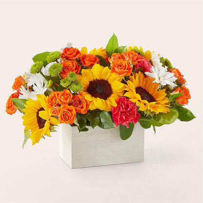 Sun-drenched Blooms Box Bouquet – CHRISTINE'S CREATIONS FLOWER SHOP, West Haven CT