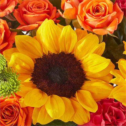Sun-drenched Blooms Box Bouquet – CHRISTINE'S CREATIONS FLOWER SHOP, West Haven CT