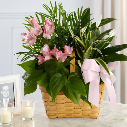 Living Spirit Dishgarden – CHRISTINE'S CREATIONS FLOWER SHOP, West Haven CT