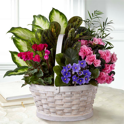 Peaceful Garden Planter – CHRISTINE'S CREATIONS FLOWER SHOP, West Haven CT
