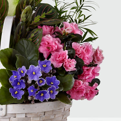 Peaceful Garden Planter – CHRISTINE'S CREATIONS FLOWER SHOP, West Haven CT