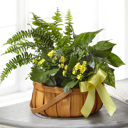 Always Dear Dishgarden – CHRISTINE'S CREATIONS FLOWER SHOP, West Haven CT