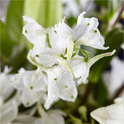 Classic Ivory – A Florist Original – CHRISTINE'S CREATIONS FLOWER SHOP, West Haven CT