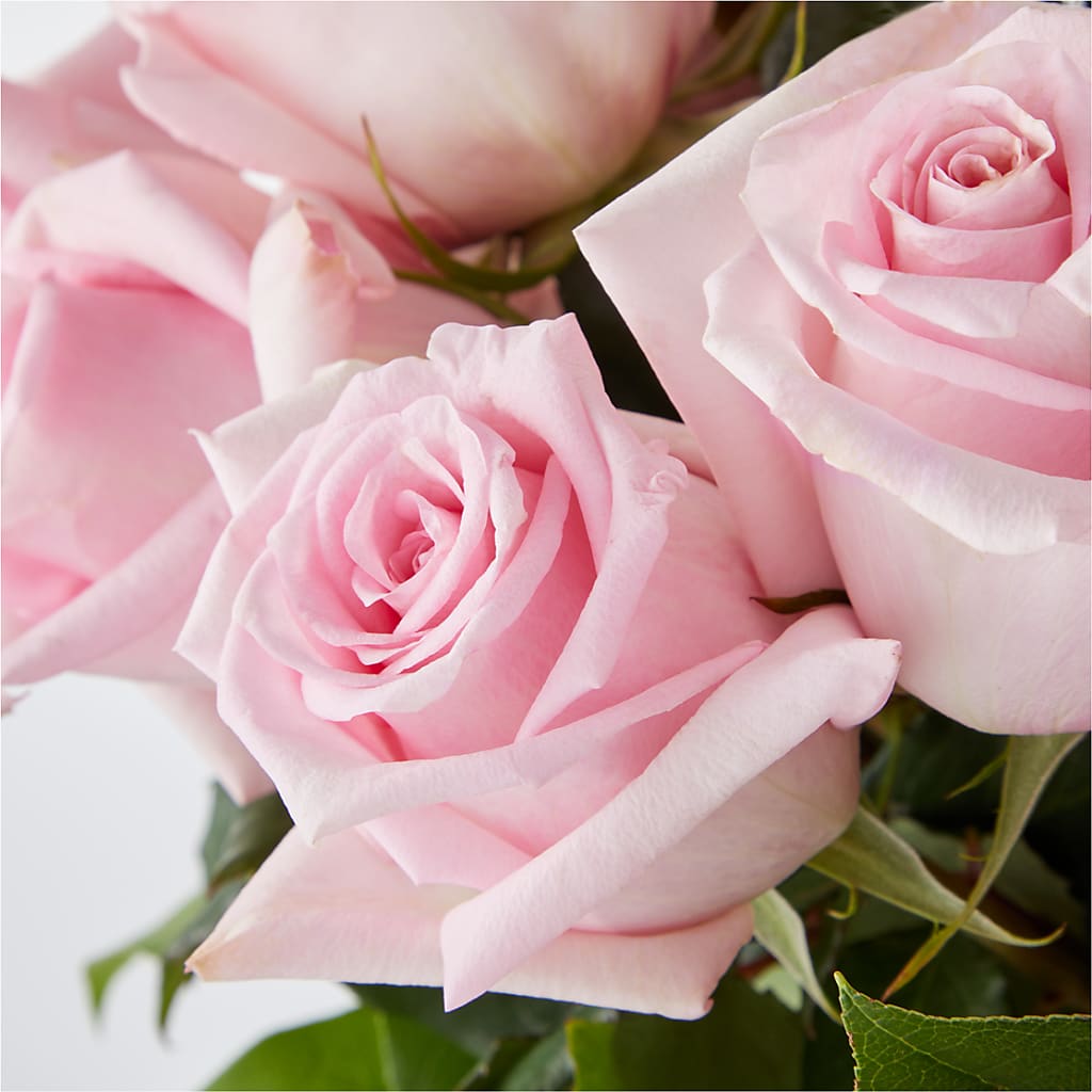 Picture Perfect Pink Rose Bouquet – CHRISTINE'S CREATIONS FLOWER SHOP, West Haven CT