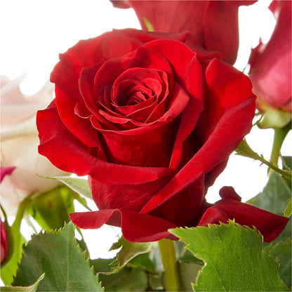 Love Notes Rose Bouquet – CHRISTINE'S CREATIONS FLOWER SHOP, West Haven CT