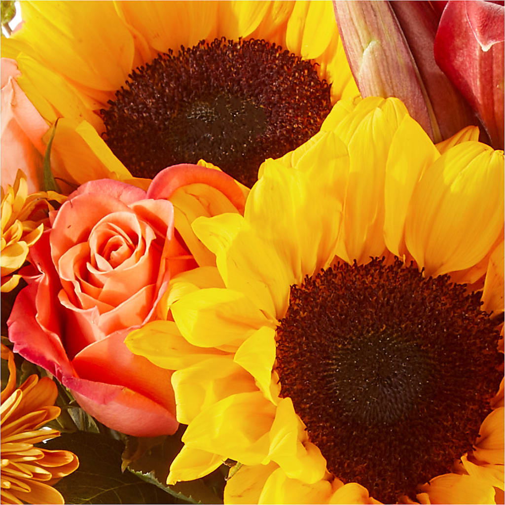 Acorn Lane Bouquet – CHRISTINE'S CREATIONS FLOWER SHOP, West Haven CT