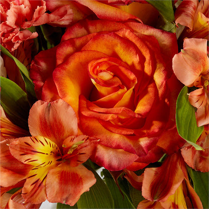 Apricot Glow Bouquet – CHRISTINE'S CREATIONS FLOWER SHOP, West Haven CT