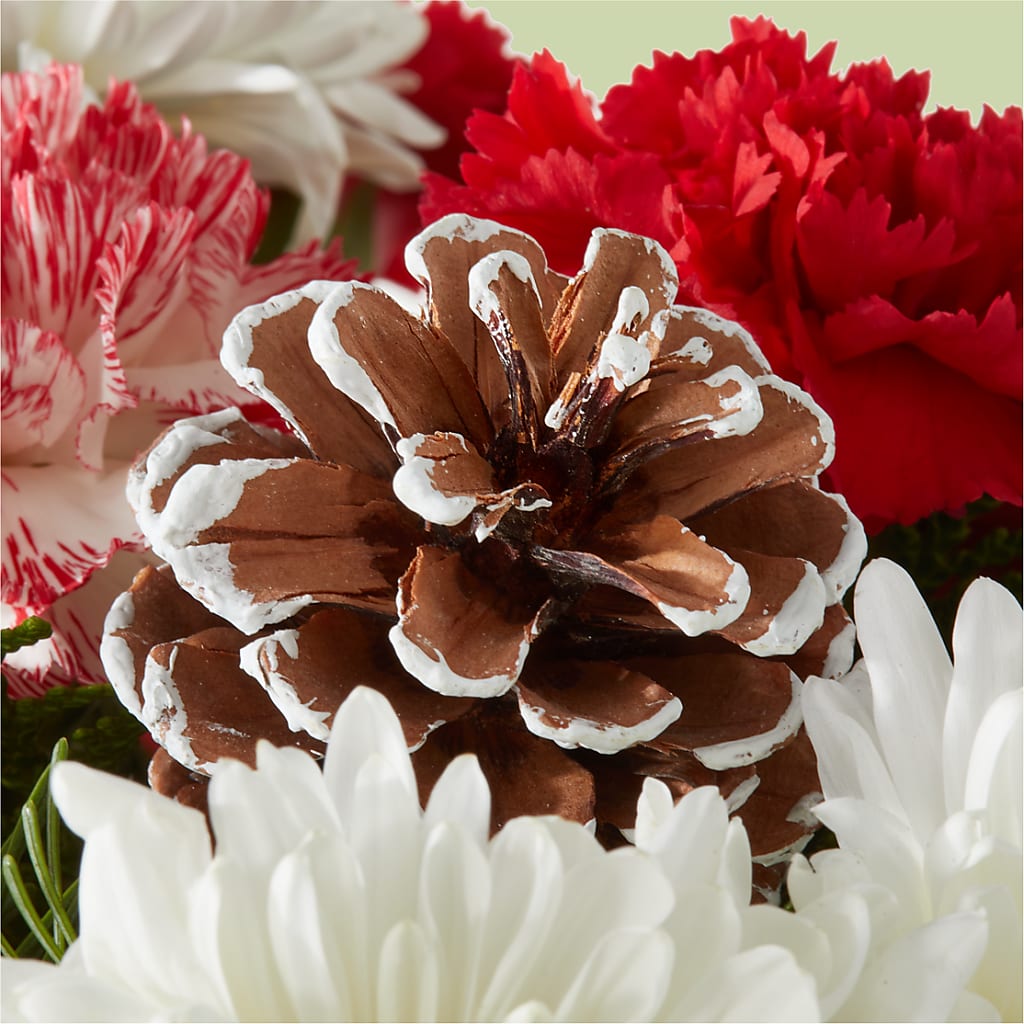 Candy Cane Lane Bouquet – CHRISTINE'S CREATIONS FLOWER SHOP, West Haven CT