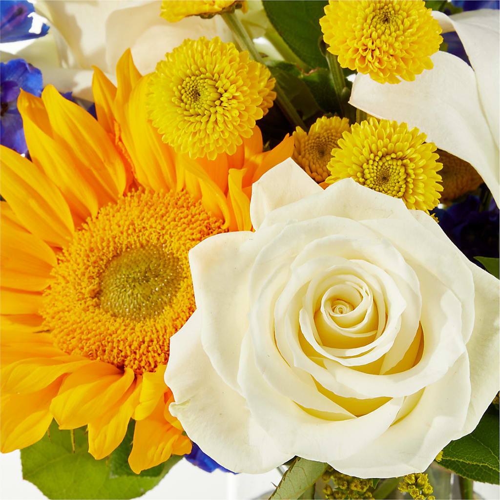 Stargazing Bouquet – CHRISTINE'S CREATIONS FLOWER SHOP, West Haven CT