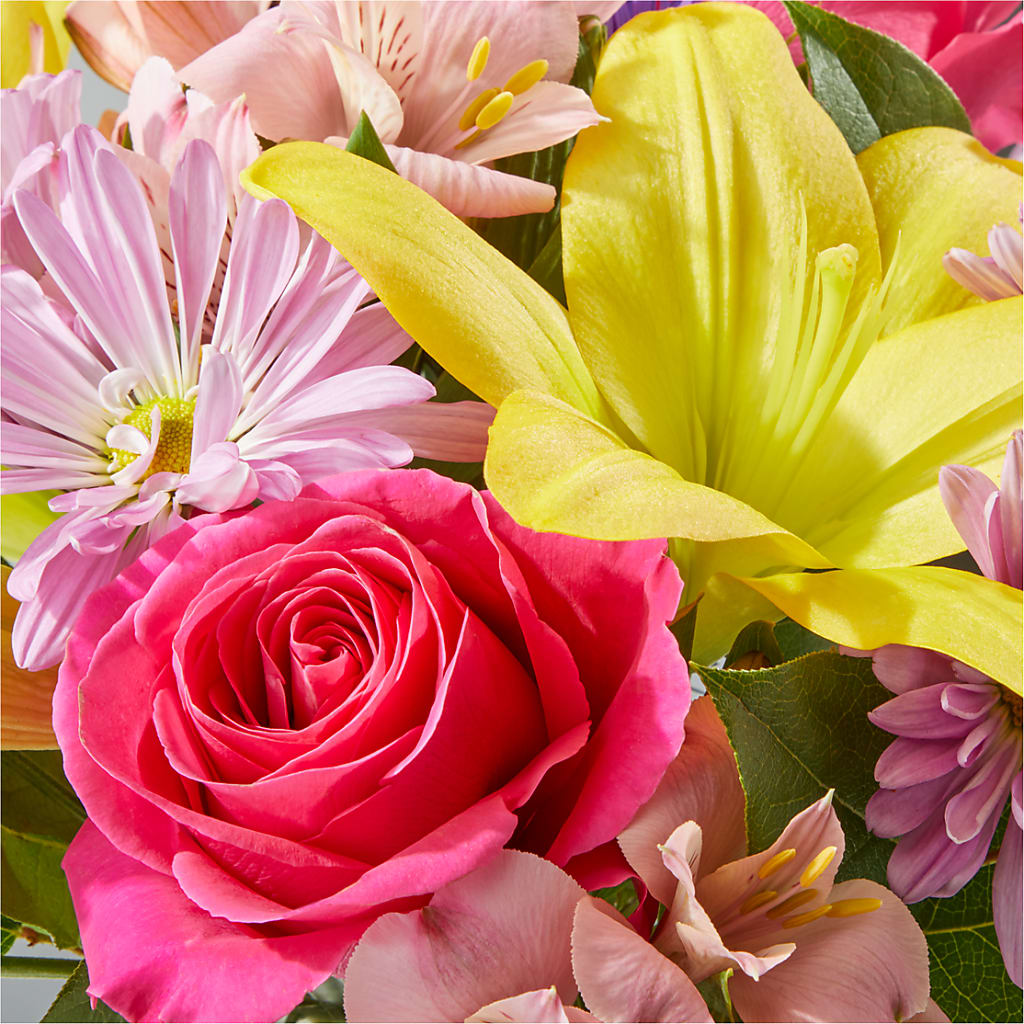 Sprinkles Bouquet – CHRISTINE'S CREATIONS FLOWER SHOP, West Haven CT