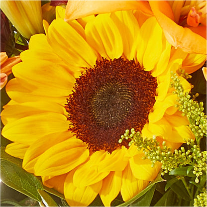 Seasons Change Bouquet – CHRISTINE'S CREATIONS FLOWER SHOP, West Haven CT