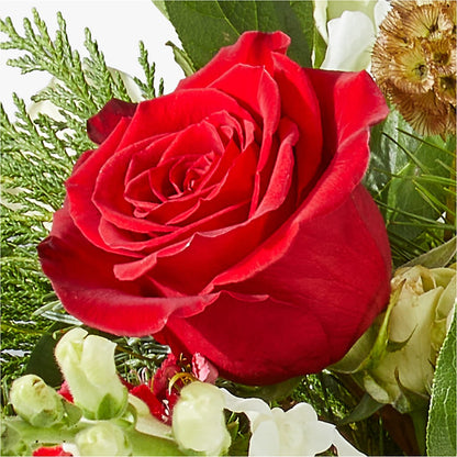 Deck the Halls Bouquet – CHRISTINE'S CREATIONS FLOWER SHOP, West Haven CT