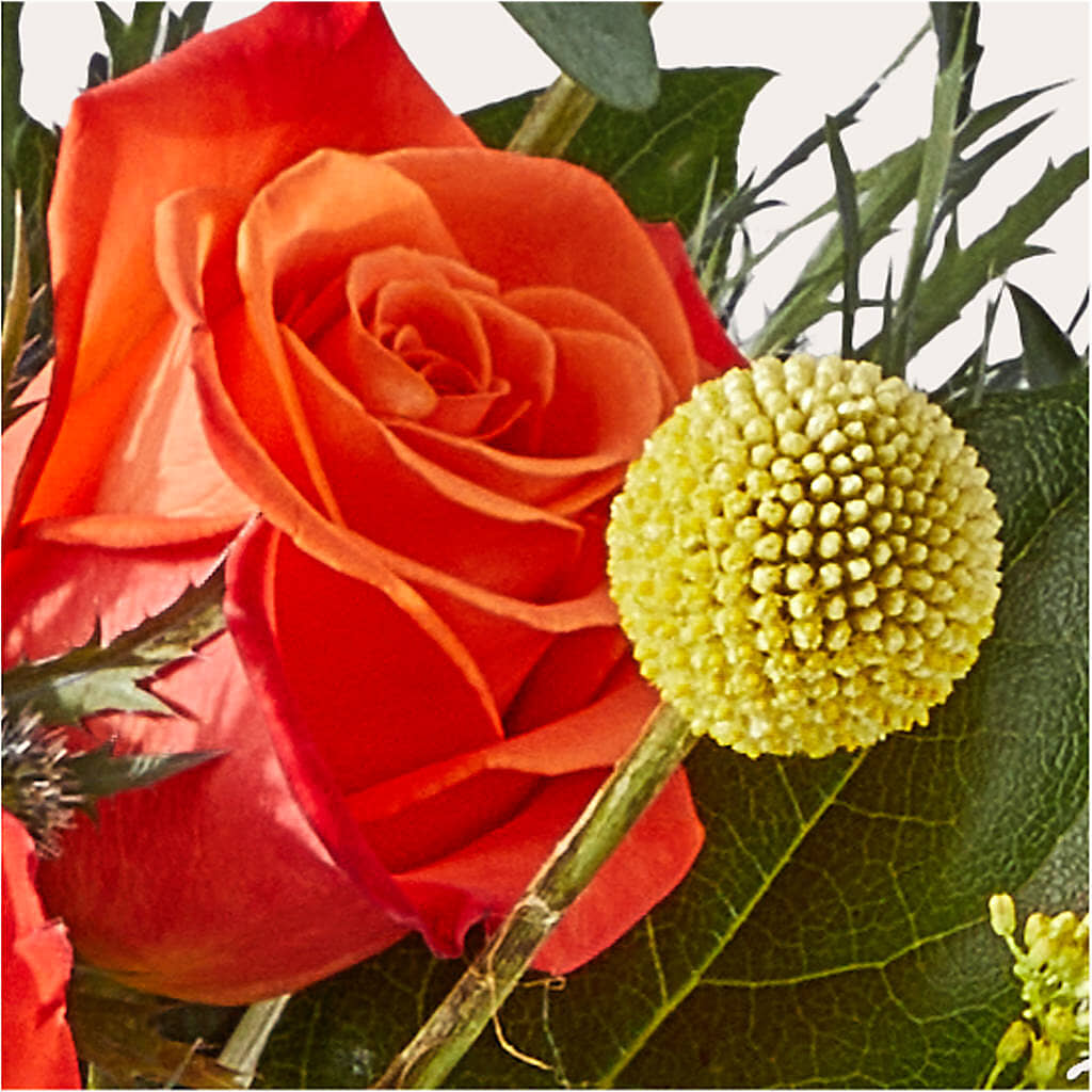 Disco Bouquet – CHRISTINE'S CREATIONS FLOWER SHOP, West Haven CT