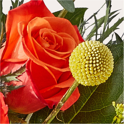 Disco Bouquet – CHRISTINE'S CREATIONS FLOWER SHOP, West Haven CT