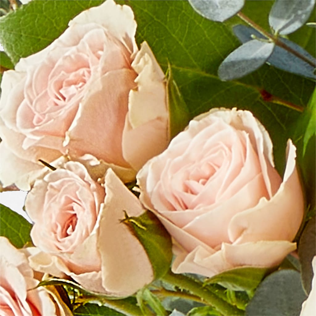 Inspired Bouquet – CHRISTINE'S CREATIONS FLOWER SHOP, West Haven CT