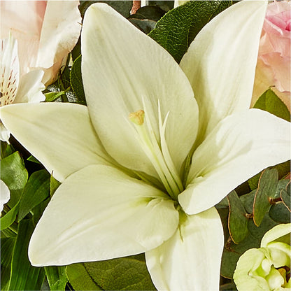 Ballet Slippers Bouquet – CHRISTINE'S CREATIONS FLOWER SHOP, West Haven CT