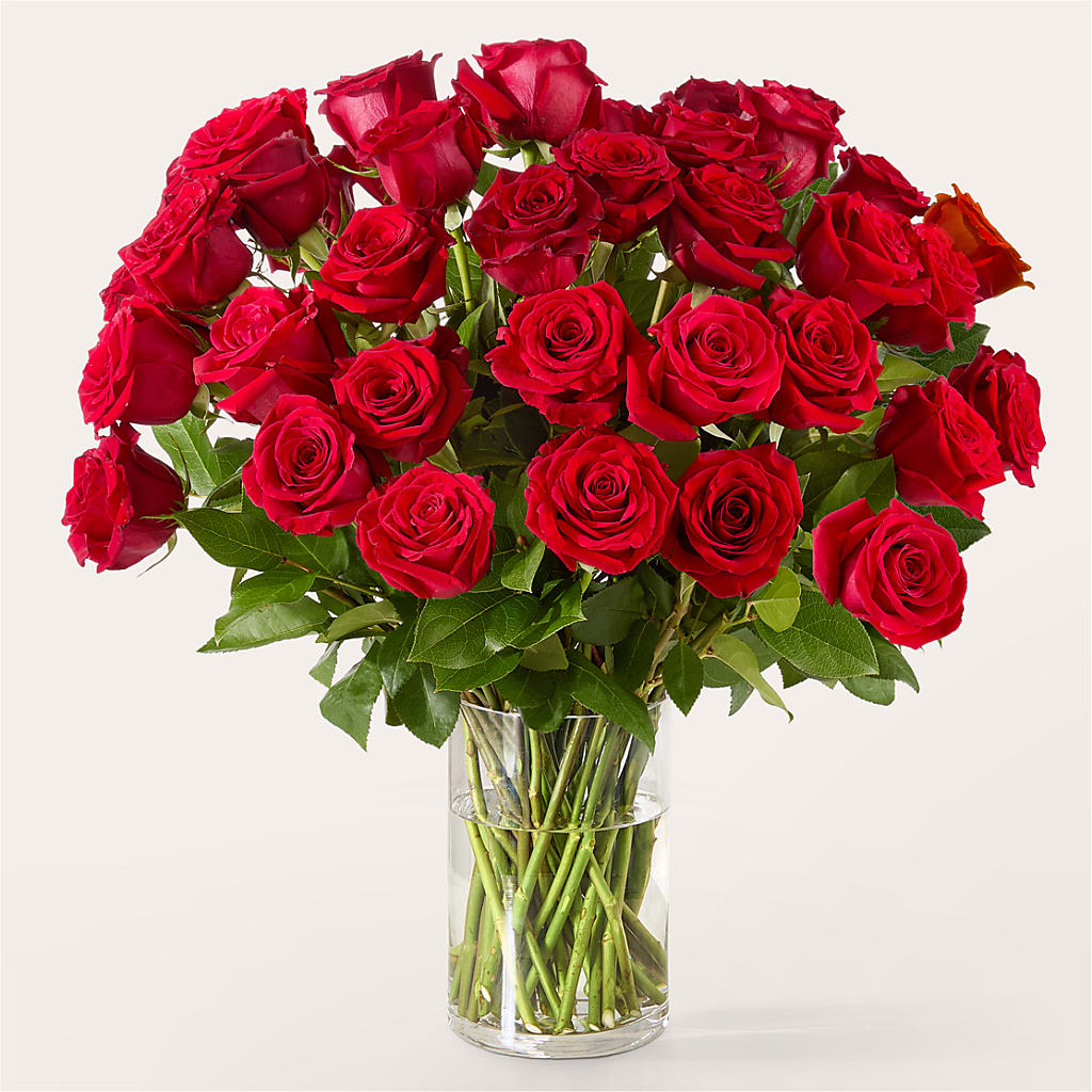 The One Red Rose Bouquet – CHRISTINE'S CREATIONS FLOWER SHOP, West Haven CT