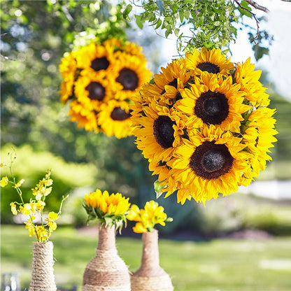 Sublime Garden Hanging Arrangement – CHRISTINE'S CREATIONS FLOWER SHOP, West Haven CT