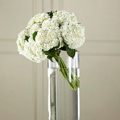 White Hydrangea Hand-Tied Bouquet – CHRISTINE'S CREATIONS FLOWER SHOP, West Haven CT