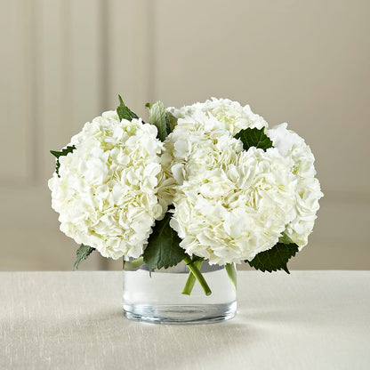 White Hydrangea Bouquet – CHRISTINE'S CREATIONS FLOWER SHOP, West Haven CT