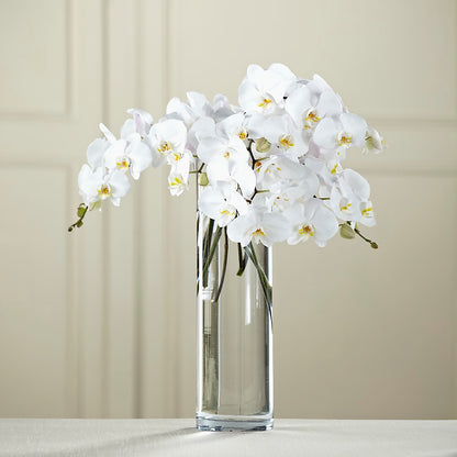White Phalaenopsis Bouquet – CHRISTINE'S CREATIONS FLOWER SHOP, West Haven CT